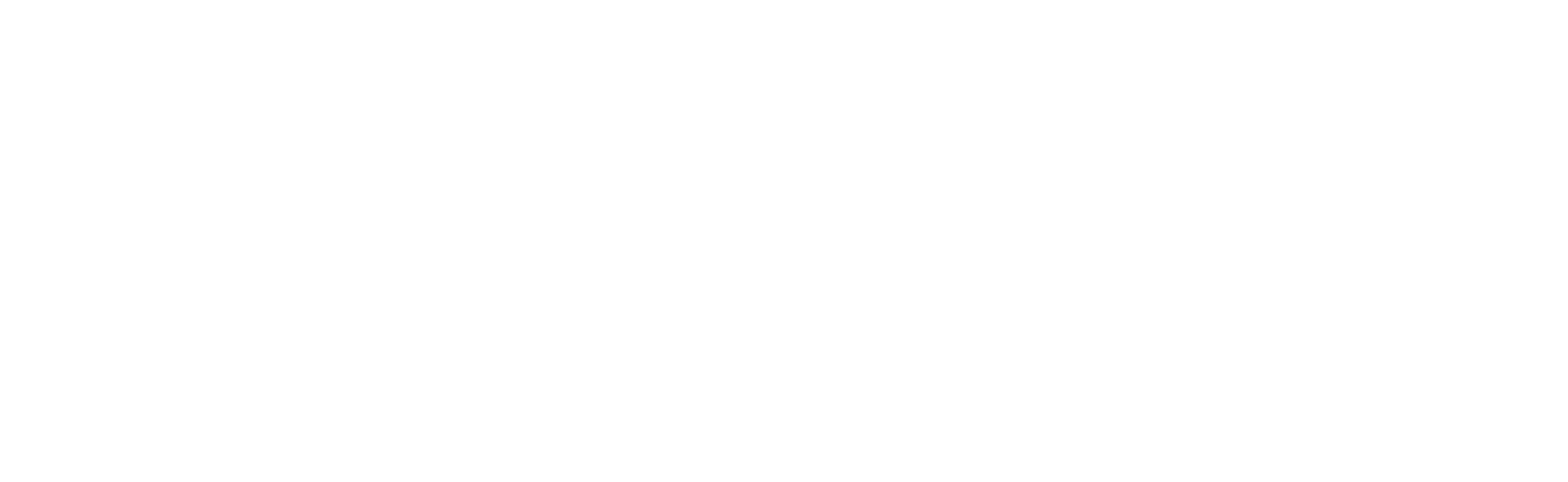 Force Inspection Services reversed logo